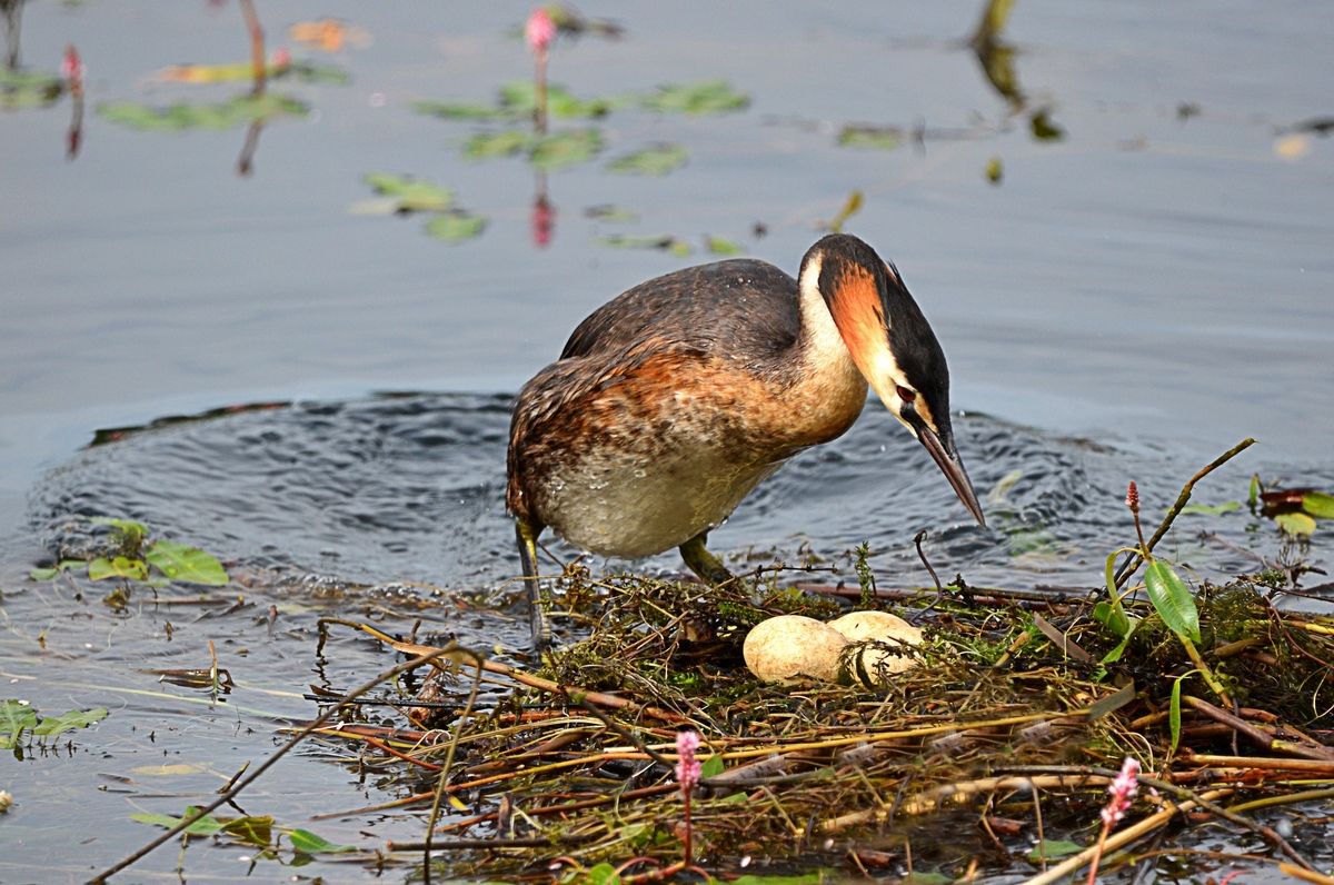 2nd. - Geoff Hildred